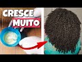 Como fazer o cabelo CRESCER MAIS RÁPIDO • TÔNICO CASEIRO (Projeto Rapunzel 2019)