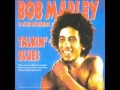 Bob Marley & The Wailers — Burnin' and Lootin'