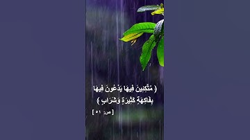 هَٰذَا ذِكْرٌ ۚ وَإِنَّ لِلْمُتَّقِينَ لَحُسْنَ مَآبٍ #الذكر_الحكيم #اكسبلور #المصحف #viral  #تلاوات