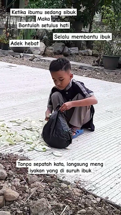 Little brother helps mother pick turi flowers #sholawatbadar #video