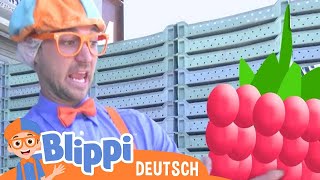 Blippi besucht eine Kirschfarm | Blippi Deutsch | Abenteuer und Videos für Kinder