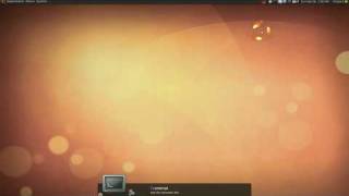 Enable Ctrl Alt Backspace - Ubuntu 9.04