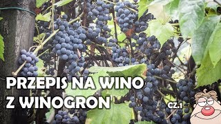 Wino Winogronowe (GRONOWE) cz.1 - prosty przepis na domowe wino z winogron :)