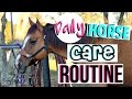 Daily Horse Care Routine