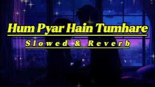 Hum Pyaar Hai Tumhare -  Haan Maine Bhi Pyaar Kiya | Kumar Sanu, Alka Yagnik | Slowed & Reverb | 90s