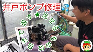井戸ポンプ修理【寺田ポンプ】
