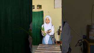 After School Cooking Leaves And Blue Flowers shorts