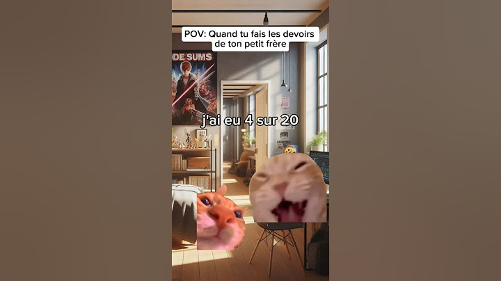 POV: Quand tu fais les devoirs de ton petit frère #humour #catmemes #drole #pov #sketch