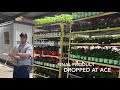 Open house at Sunbelt Greenhouses!