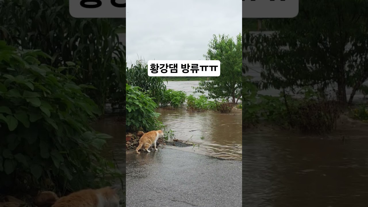 홍수주의보 황강댐 방류..