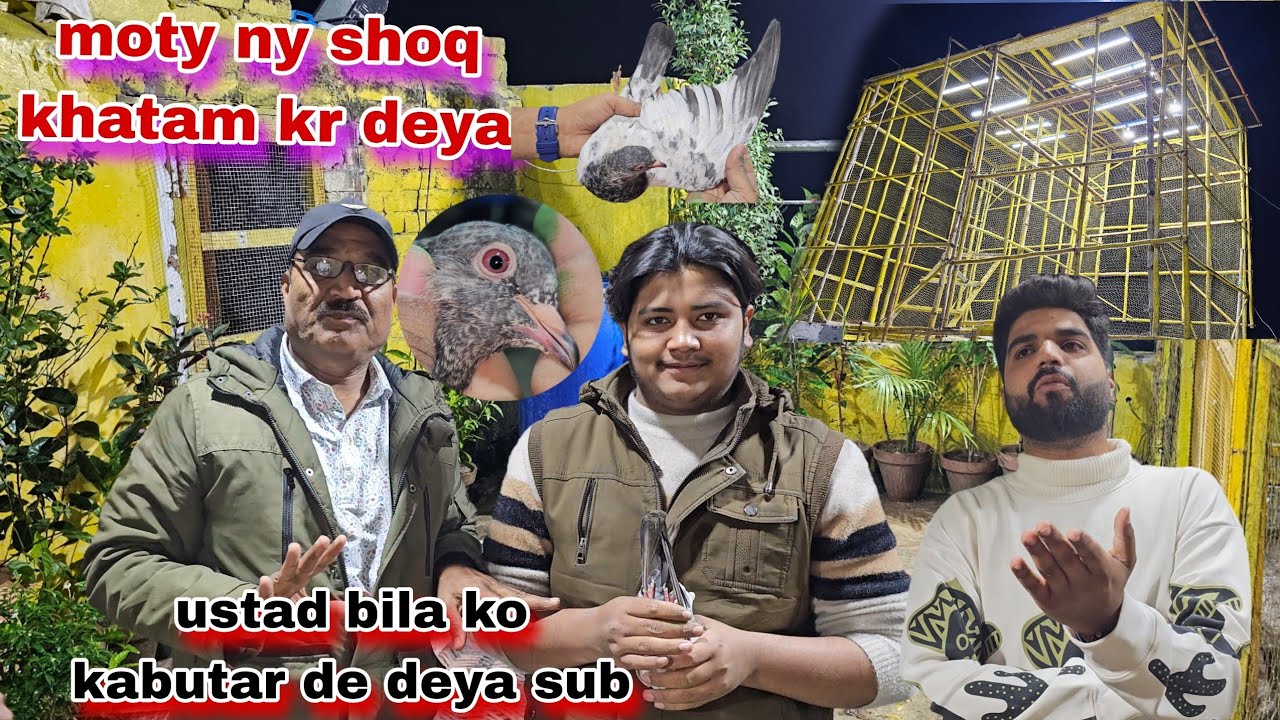 Moty ny ustad bila ko saray kabutar de deya shoq khtama kr deya waja kya bhani😯