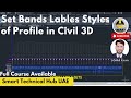 How to Set Bands Lables Styles of Profile in Civil 3D