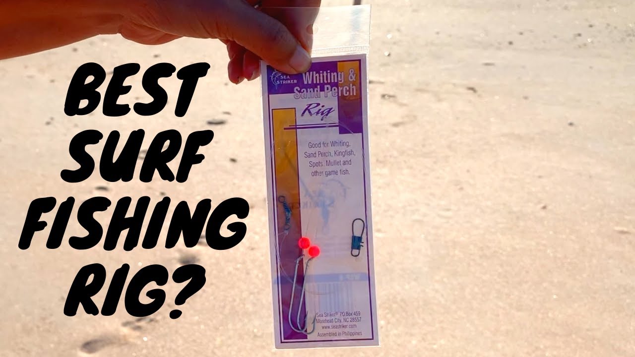 The BEST RIG For SURF FISHING! The Sea Striker Whiting & Sand Perch rig? YouTube