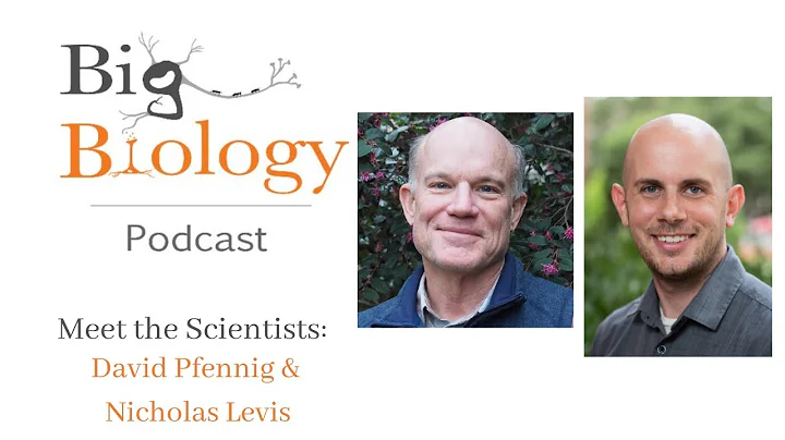 Meet the Scientists: David Pfennig & Nicholas Levis