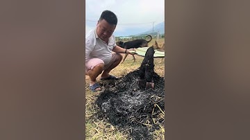 Cá lóc nướng rơm anh em ơi