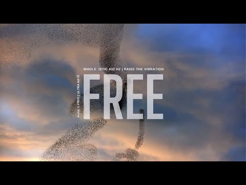 WHOLE_istic 432 Hz | FREE | Ultra Naté | Lyrics