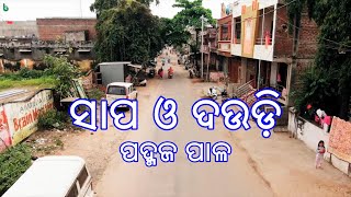 sapa o daudi | padmaja pal | odia sahitya | odia story | short story @shrutisahitya