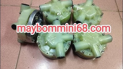 Đầu bơm của máy bơm áp lực 12v, 24v công suất 130w đến 260w