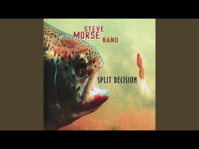 Steve Morse Band - Mechanical Frenzy