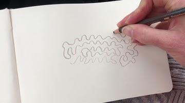 Letting go - contour drawing from memory: lichen in lines, form, and shape. Looks like an amoeba.