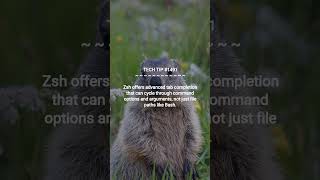 Zsh vs Bash: Killer Feature | 2025-11-22 | #Shorts #TechTips #systemadmintips #webdevelopmenttips