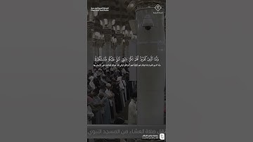 مقتطف من تلاوة فضيلة الشيخ #محمد_برهجي من صلاة العشاء 1 جمادى الآخرة 1447هـ
