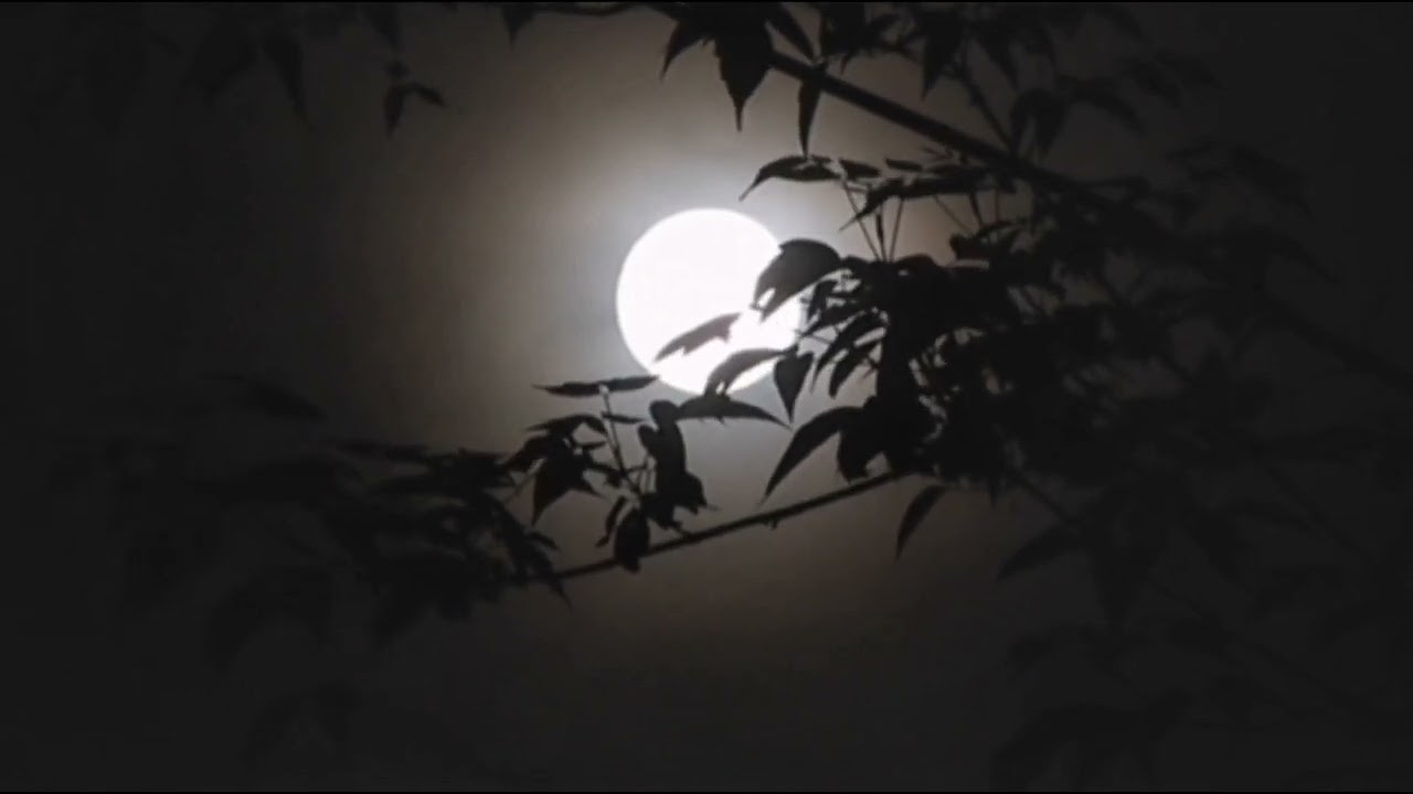 One Amier - Janji Setia (karaoke)