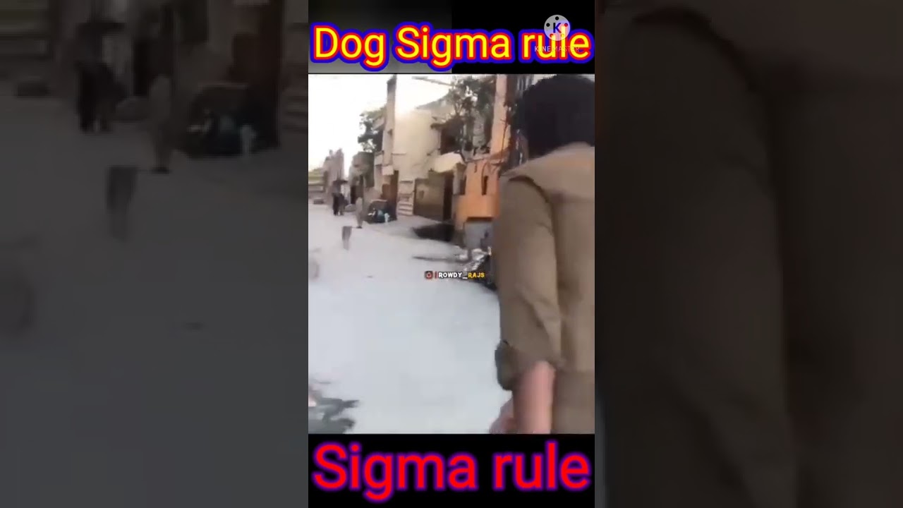 dog sigma rule | 