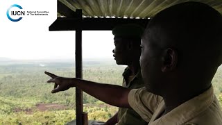 Virunga National Park: Oil, Conservation and Sustainable Development