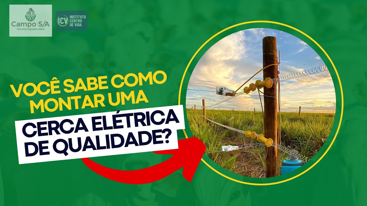 Você sabe como montar uma cerca elétrica de qualidade?