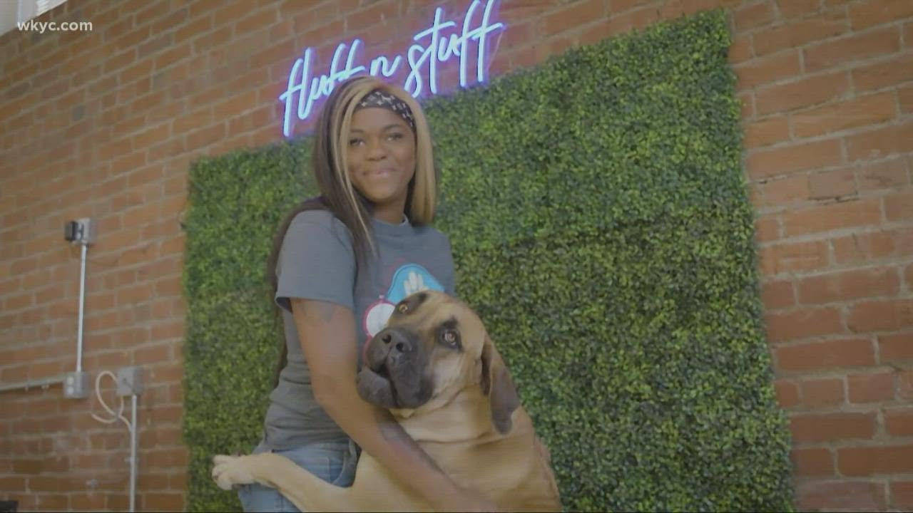 fluff and stuff grooming