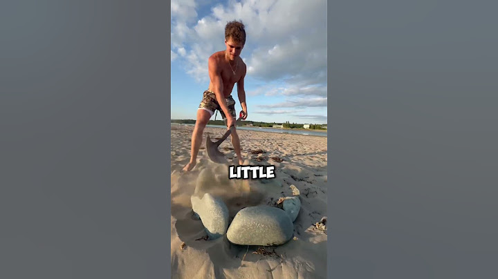 Stones In Sand Castle Prank! 🏰🪨#shorts