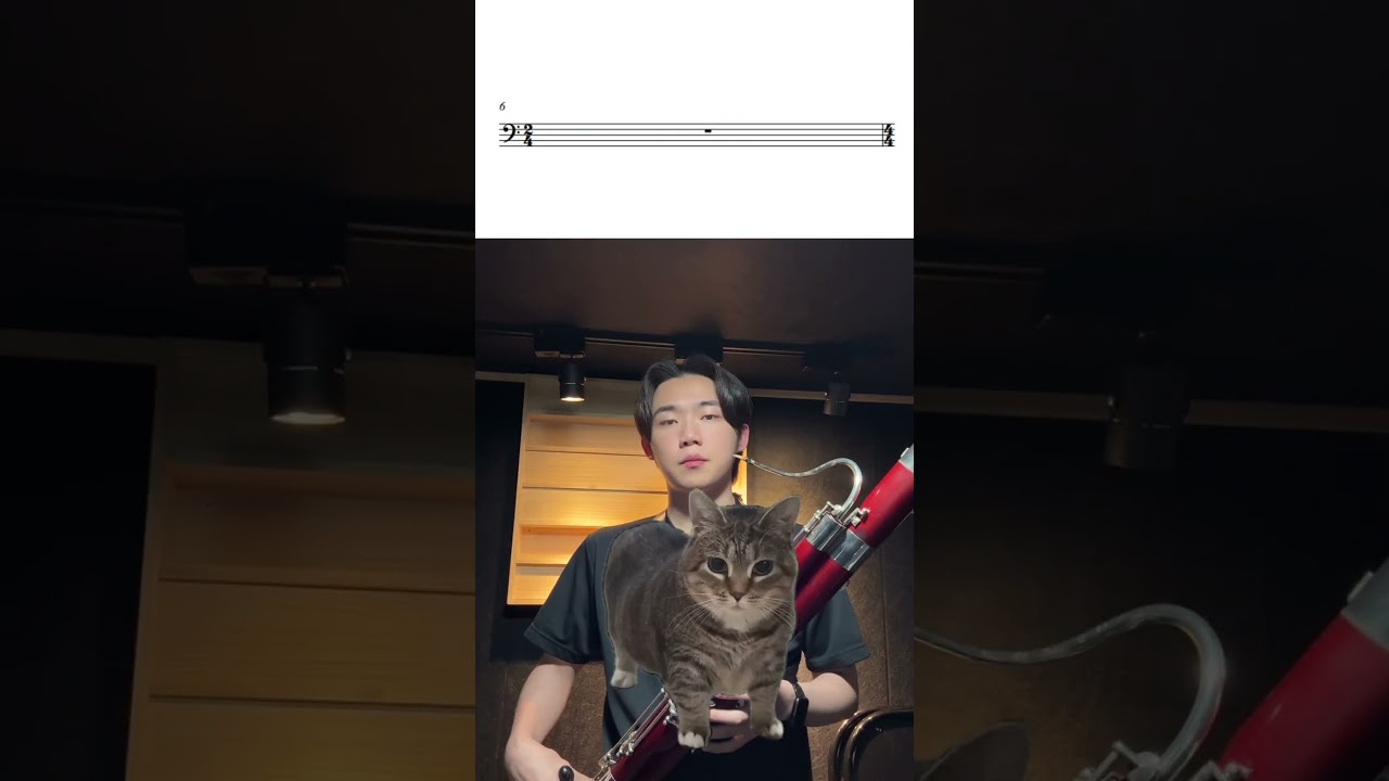 OIIAOIIA But Bassoon 