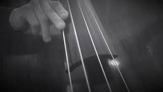 Celebrity I Can’t Get Started Bass Play Along Line Backing Track Wealth