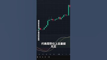因為macd不好用，我重做了他。去除macd噪音，精準背離！#macd  #macd背離   #MACD 指標