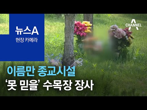 [현장 카메라]이름만 종교시설…‘못 믿을’ <strong>수목장</strong> 장사 | 뉴스A