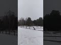 Окунево 🌏🌍🌎🚗🔥🔥🔥🔥🕊️