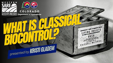 Classical Biological Control