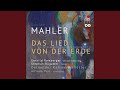 Capture de la vidéo Symphonie Für Tenor, Bariton Und Orchester "Das Lied Von Der Erde": Ii. Der Einsame Im Herbst