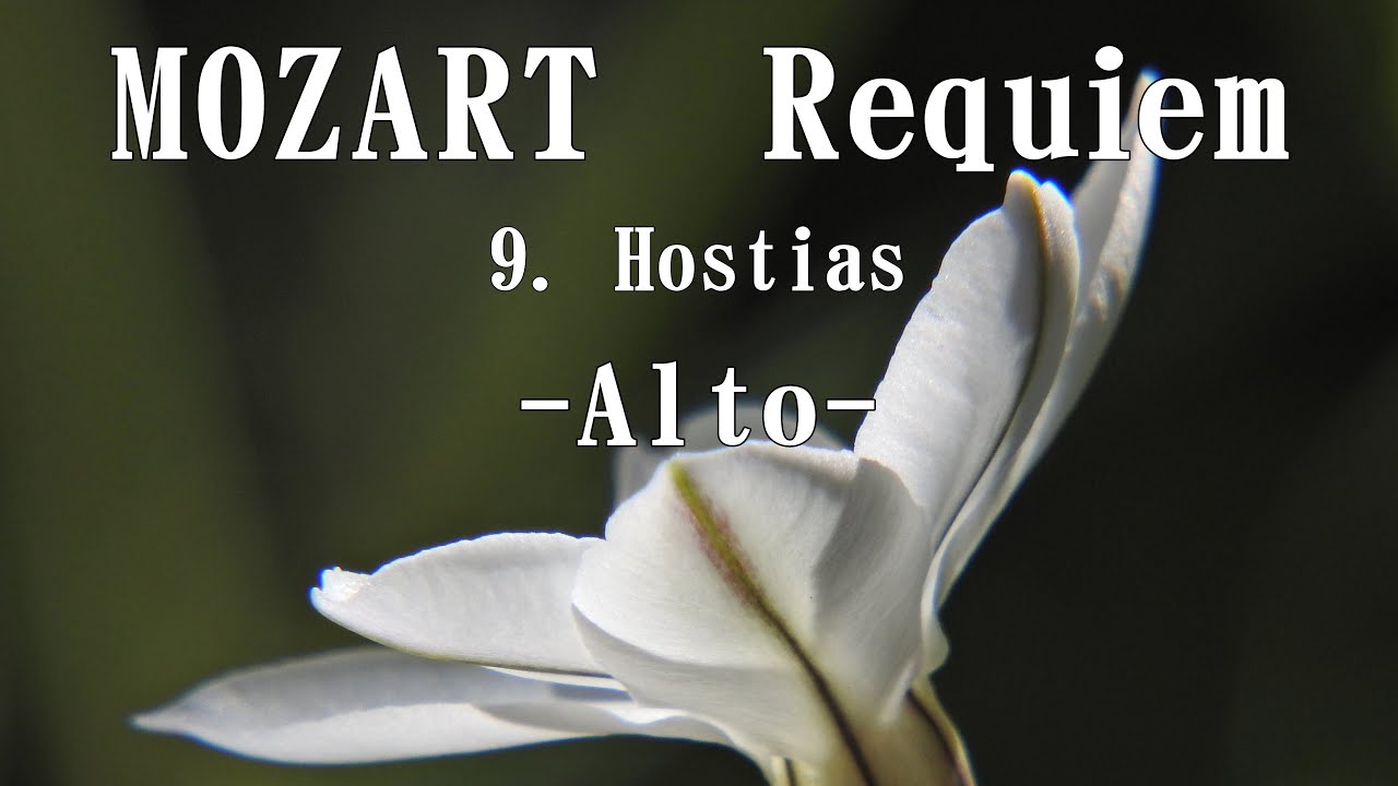 モーツァルト 「レクイエム」より 9. Hostias アルト MOZART, Requiem K626 Alto YouTube