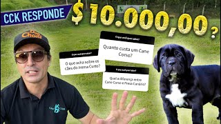 QUANTO CUSTA UM CANE CORSO?