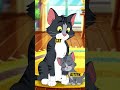 cat's child called kitten 🐾