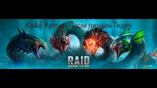 Бои на Live Arena, После пинаем гидру ,Raid Shadow Legends