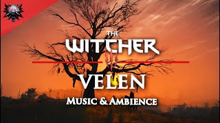 The Witcher 3 - Velen - Relaxing Emotional Music And Ambience 