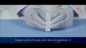 Rapikit HBSAG Hepatitis B Rapid Test Instructional Video