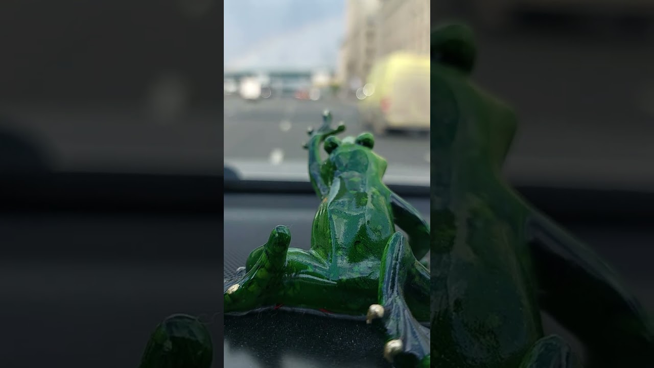 Exploring Nature: Frog and Rainbow