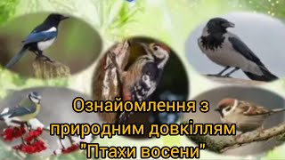 картинка: Ознайомлення з природним довкіллям 
