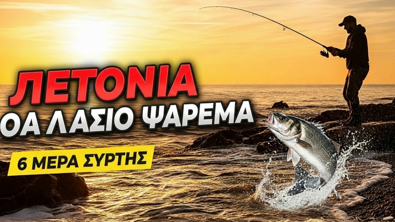 Λαβράκι από την ακτή: 6 δοκιμασμένοι τρόποι που πραγματικά πιάνουν