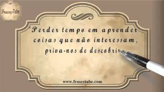 Frases de Reflexão #07 screenshot 4