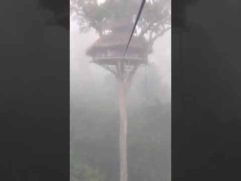 Gibbon experience - zipline ride in the fog